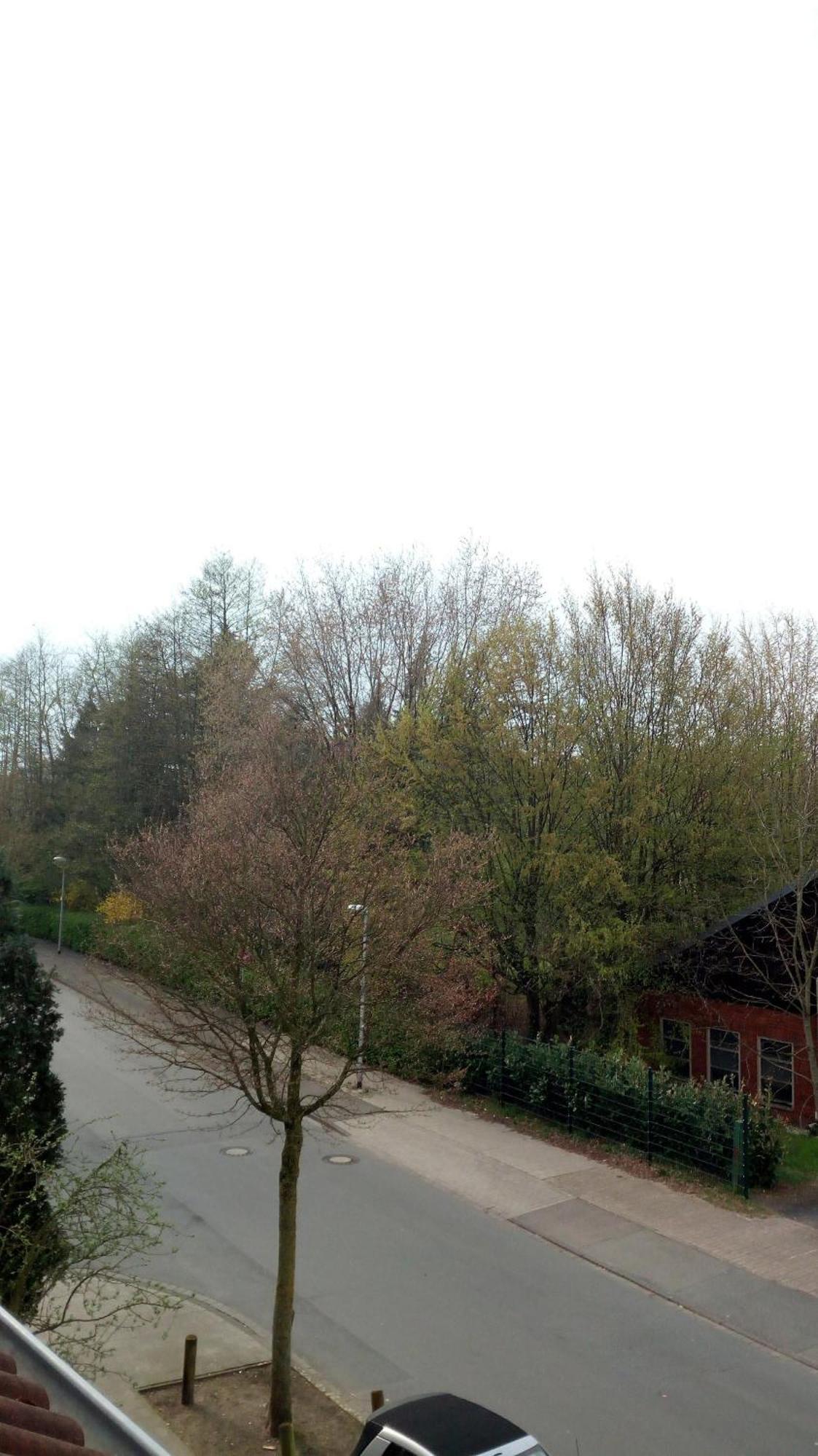 Ferienwohnung Mit Loggia Münster Exterior foto