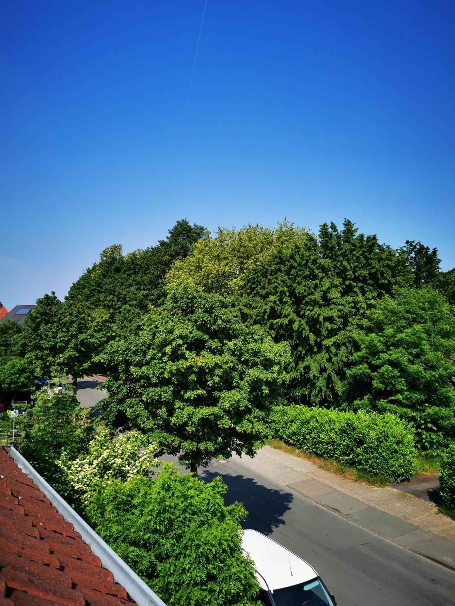 Ferienwohnung Mit Loggia Münster Exterior foto